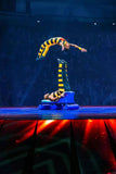Barnum & Bailey The Greatest Show on Earth