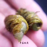 Dendrobium officinale 1 bag 227g