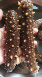 Alaska Red Ginseng Specials