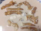 Red fish glue