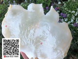 Butterfly glue (large)