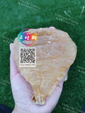 Fish glue