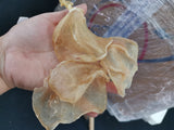 Butterfly glue
