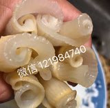Red fish glue