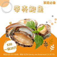 Abalone in shell